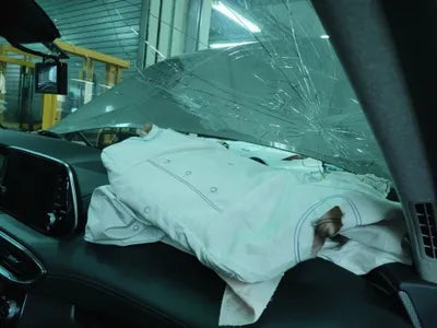 2019 Hyundai Santa FE KMHS381BBLU262254 VIN:KMHS381BBLU262254