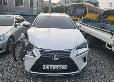 2018 Lexus NX 300 JTJBJRBZ6J2079876 VIN:JTJBJRBZ6J2079876