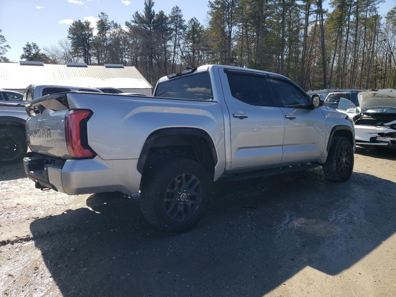 2022 TOYOTA TUNDRA CREWMAX PLATINUM VIN:5TFNA5DB3NX028580