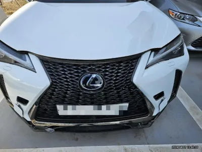 2020 Lexus UX 250 VIN: