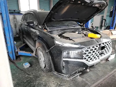 2021 Hyundai Santa FE KMHS381HHMU389829 VIN:KMHS381HHMU389829