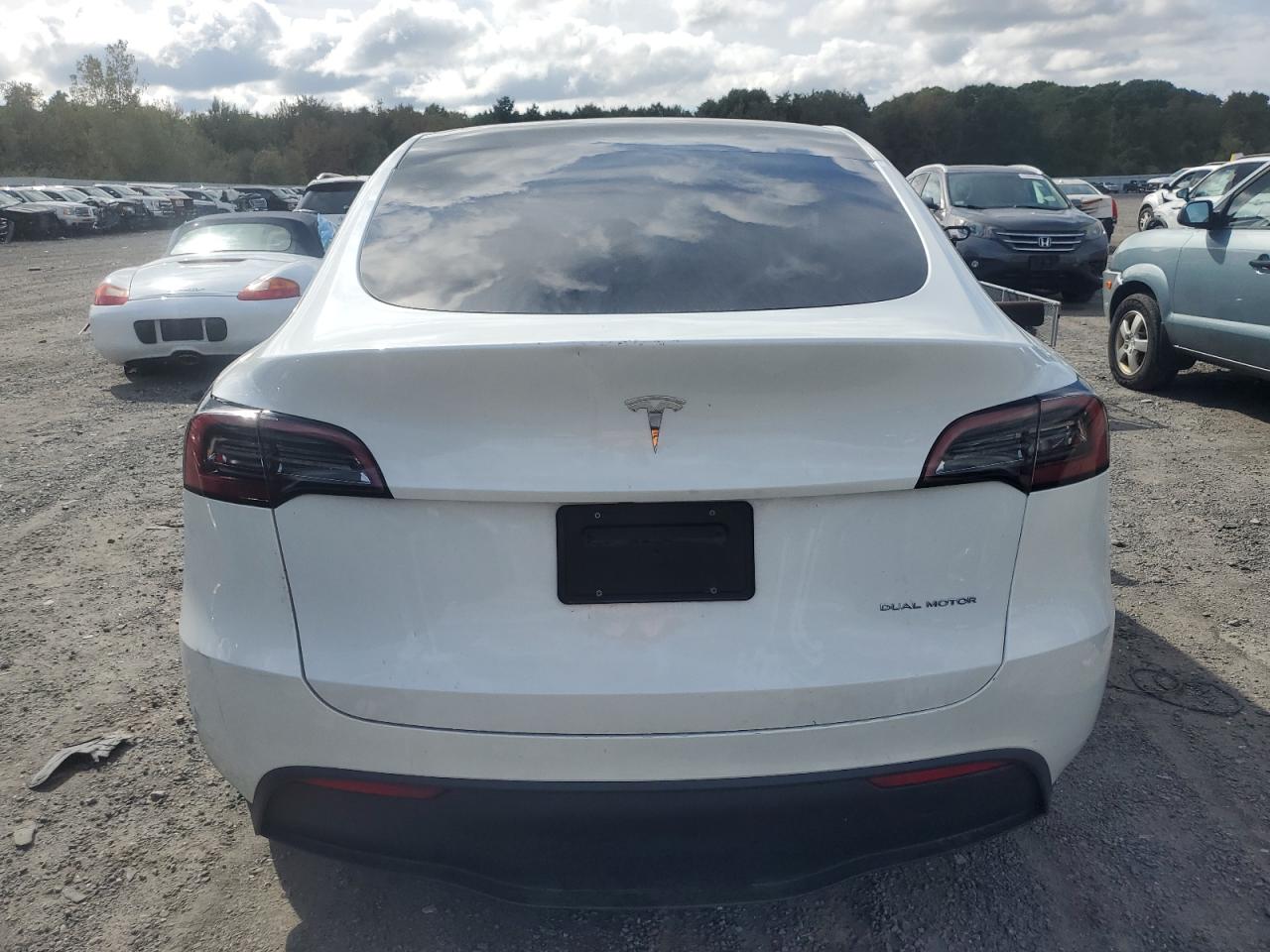 2023 TESLA MODEL Y  VIN:7SAYGAEE3PF612040