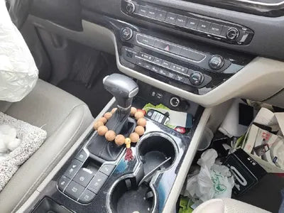 2019 Kia Carnival VIN: