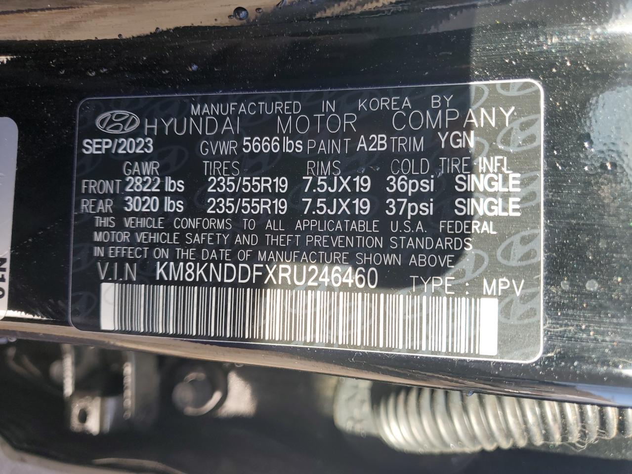 2024 HYUNDAI IONIQ 5 SEL VIN:KM8KNDDFXRU246460