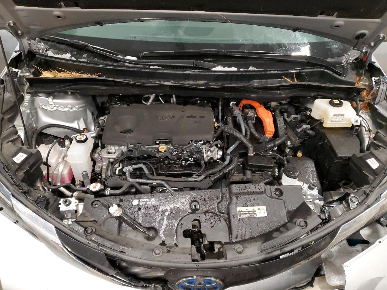 2023 TOYOTA SIENNA XLE VIN:5TDJSKFC3PS093292
