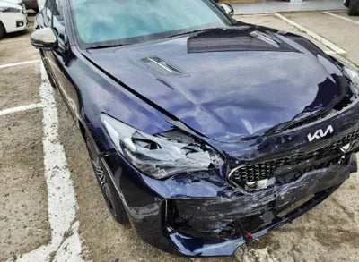 2022 Kia Stinger KNAE551CDNS117023 VIN:KNAE551CDNS117023