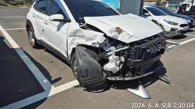 2021 Hyundai Kona KMHK3813GMU806844 VIN:KMHK3813GMU806844