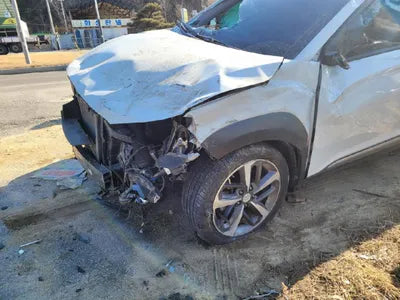 2019 Hyundai Kona KMHK4815GKU400826 VIN:KMHK4815GKU400826