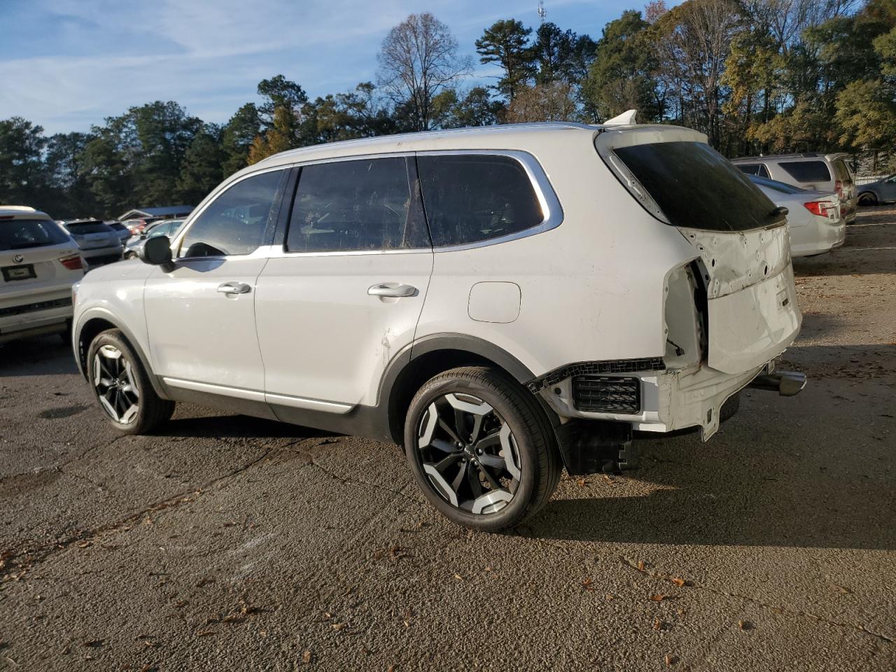 2024 KIA TELLURIDE EX VIN:5XYP34GCXRG434284