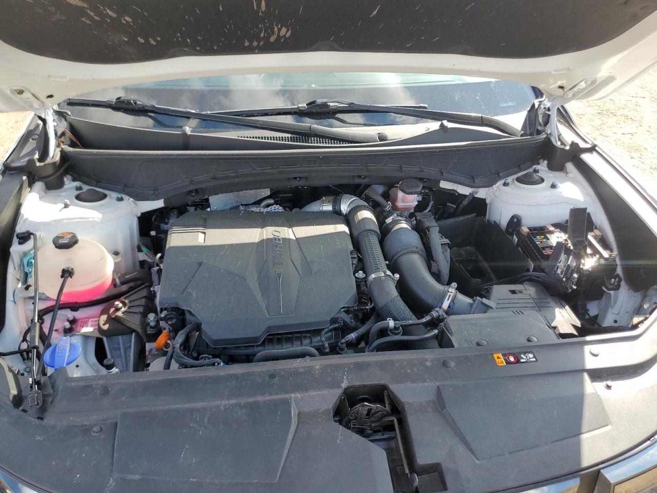 2023 HYUNDAI SANTA CRUZ LIMITED VIN:5NTJEDAF4PH047031