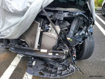 2021 Kia Carnival KNANB81BBMS045022 VIN:KNANB81BBMS045022