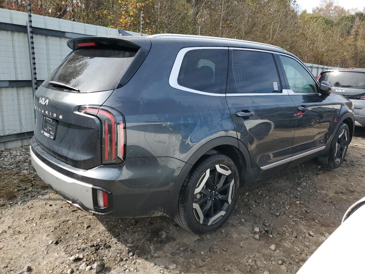 2024 KIA TELLURIDE EX VIN:5XYP34GC2RG425904