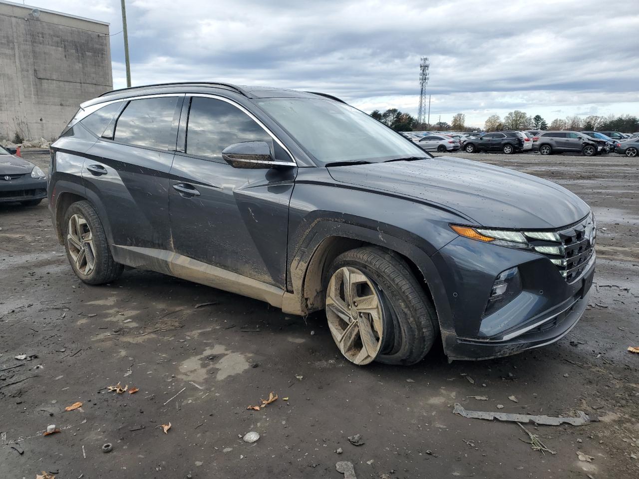 2024 HYUNDAI TUCSON LIMITED VIN:5NMJECDE2RH295709