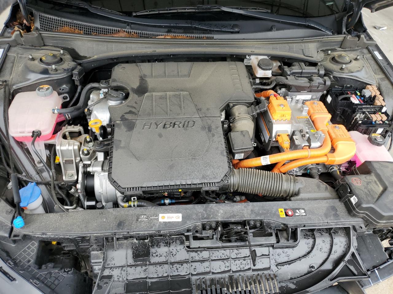2023 HYUNDAI ELANTRA LIMITED VIN:KMHLN4AJ9PU059415