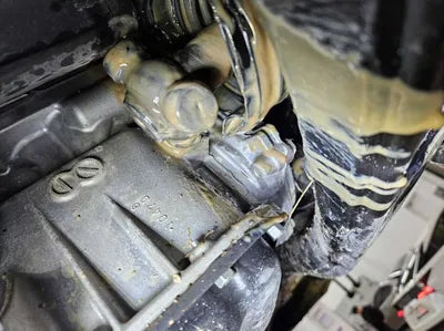 2020 Toyota RAV4 VIN: