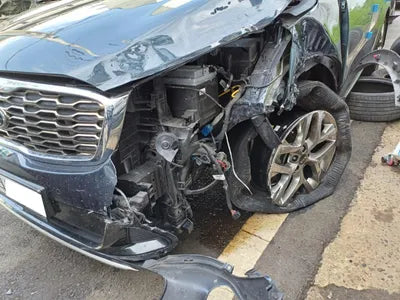 2019 Kia Sorento KNAPH81ABLA637479 VIN:KNAPH81ABLA637479