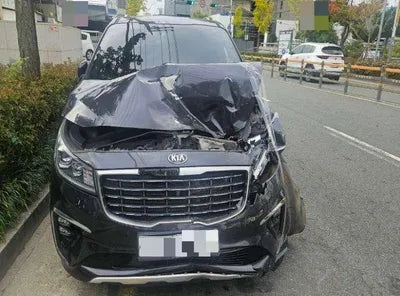 2019 Kia Carnival VIN:
