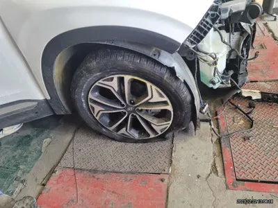 2019 Hyundai Santa FE 962KMKMHS381BBKU0 VIN:962KMKMHS381BBKU0