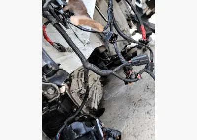2019 Hyundai Santa FE KMHS381ADKU169994 VIN:KMHS381ADKU169994