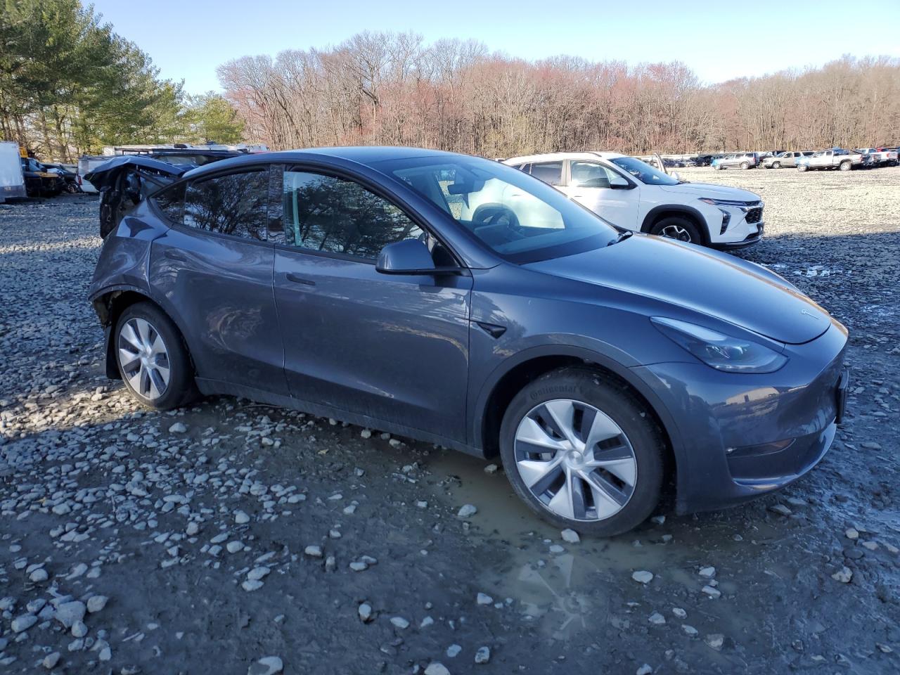 2023 TESLA MODEL Y  VIN:7SAYGDED7PF923057