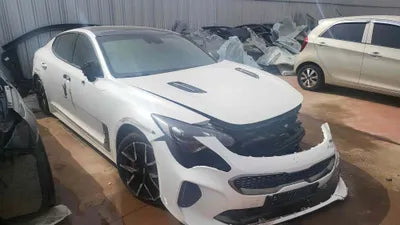 2020 Kia Stinger KNAE351ABLS085915 VIN:KNAE351ABLS085915