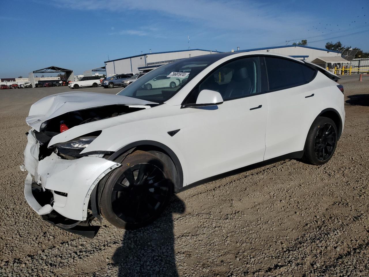 2023 TESLA MODEL Y  VIN:7SAYGDEE5PA130152