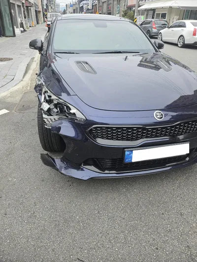 2018 Kia Stinger KNAE351ADKS042385 VIN:KNAE351ADKS042385