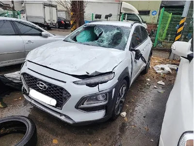 2018 Hyundai Kona KMHK7815GJU015197 VIN:KMHK7815GJU015197