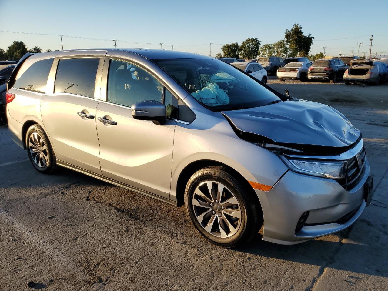 2024 HONDA ODYSSEY EXL VIN:5FNRL6H66RB023713