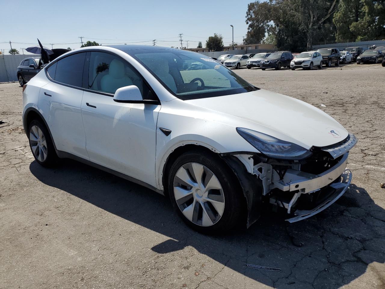 2023 TESLA MODEL Y  VIN:7SAYGDEE8PF616800