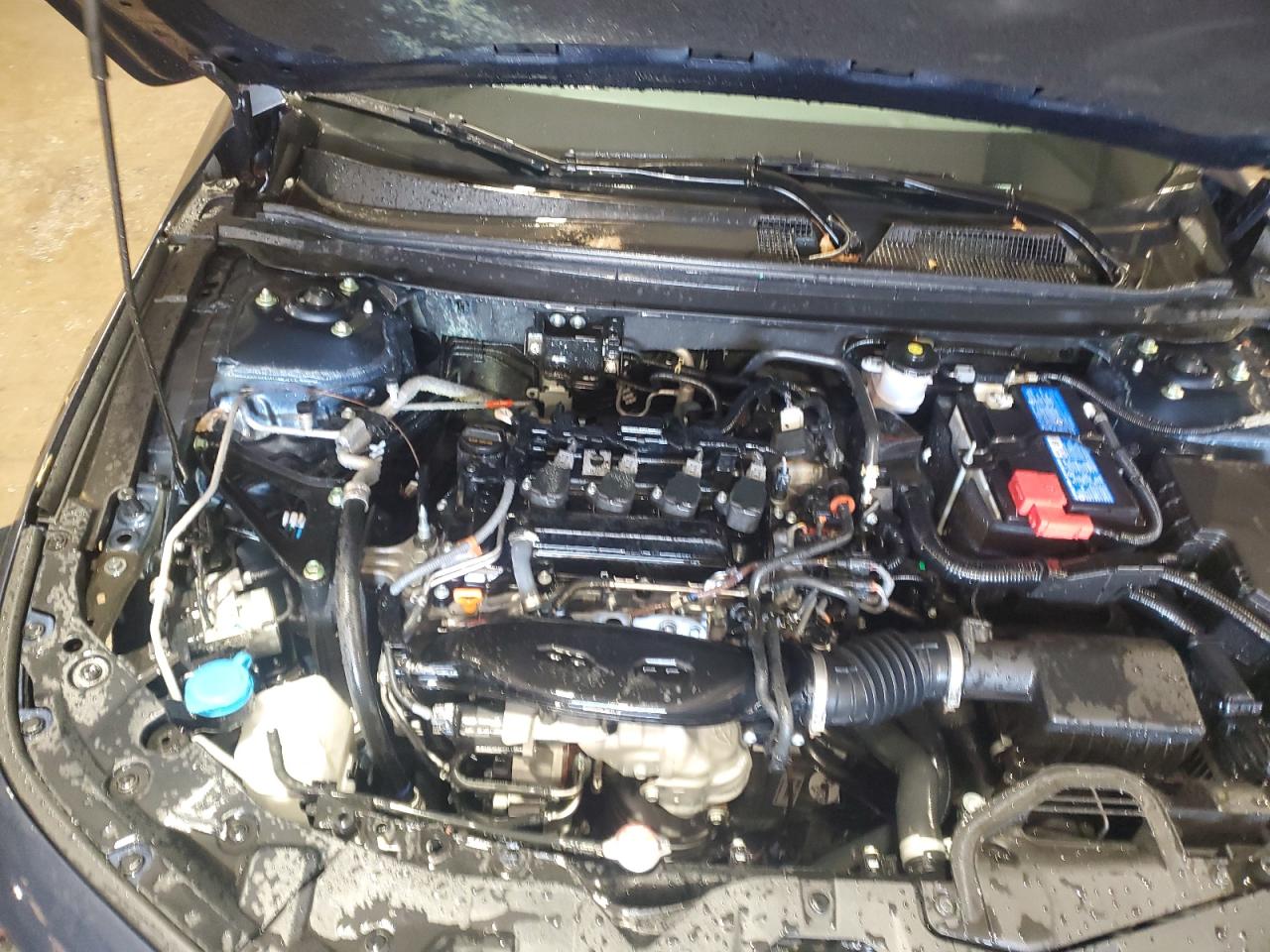 2024 HONDA ACCORD EX VIN:1HGCY1F37RA054658