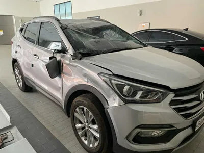 2018 Hyundai Santa FE KMHSW81UBJU843622 VIN:KMHSW81UBJU843622