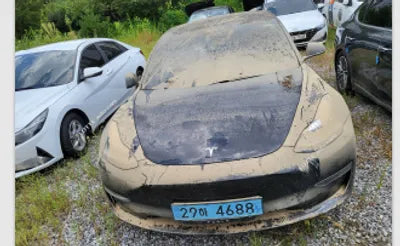 2020 Tesla Model 3 5YJ3E1EB9LF727318 VIN:5YJ3E1EB9LF727318