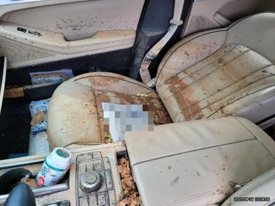 2020 Genesis G80 VIN: