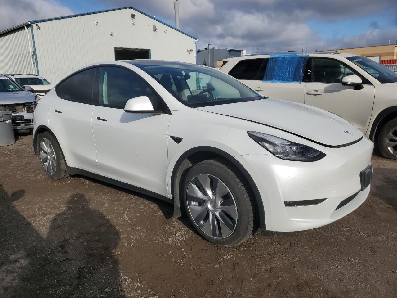 2022 TESLA MODEL Y  VIN:7SAYGDEE6NF358564