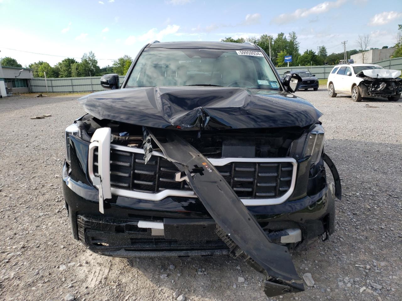 2023 KIA TELLURIDE SX VIN:5XYP5DGCXPG357391
