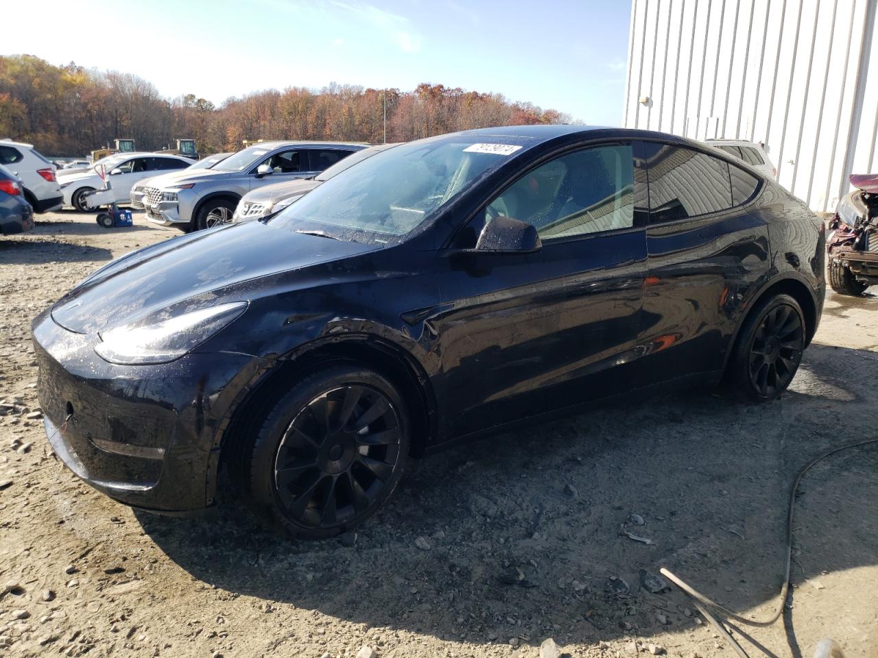 2023 TESLA MODEL Y  VIN:7SAYGDEE3PF889997