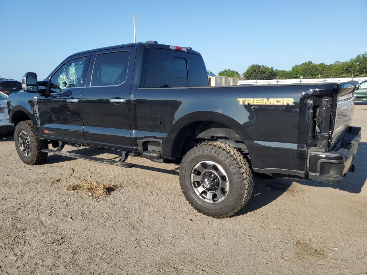 2023 FORD F250 SUPER DUTY VIN:1FT8W2BM8PED96754
