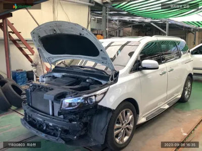 2016 Kia Carnival KNAMC81ABHS299199 VIN:KNAMC81ABHS299199