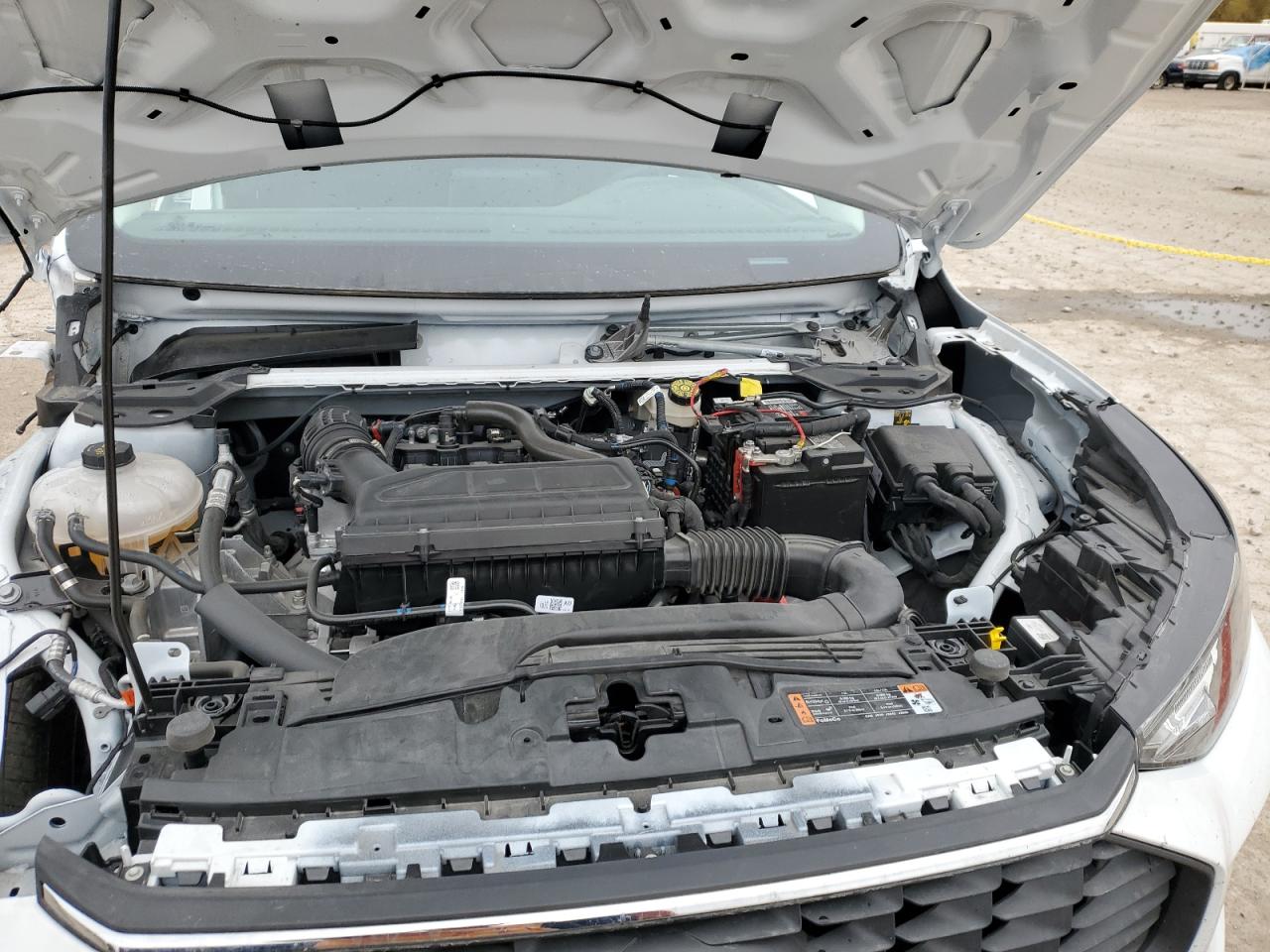 2024 FORD ESCAPE ACTIVE VIN:1FMCU0GN6RUA27448