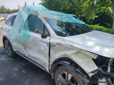 2021 Kia Sorento KNARG81GBMA004149 VIN:KNARG81GBMA004149