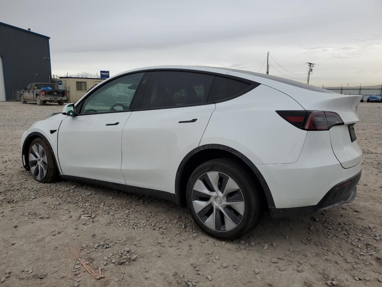 2023 TESLA MODEL Y  VIN:7SAYGAEE5PF824356