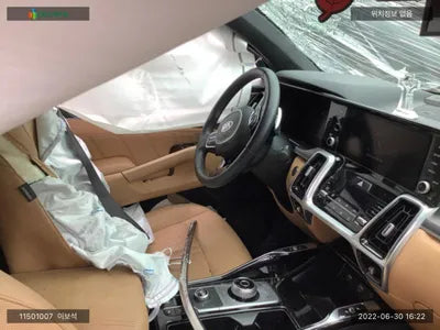 2020 Kia Sorento KNARH81BGMA023064 VIN:KNARH81BGMA023064