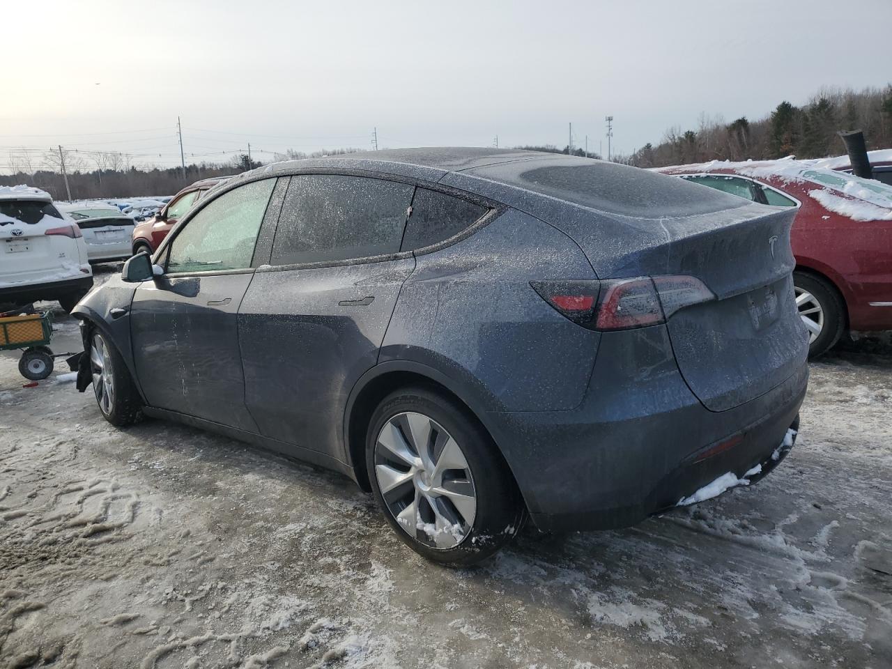 2023 TESLA MODEL Y  VIN:7SAYGAEE8PF895261