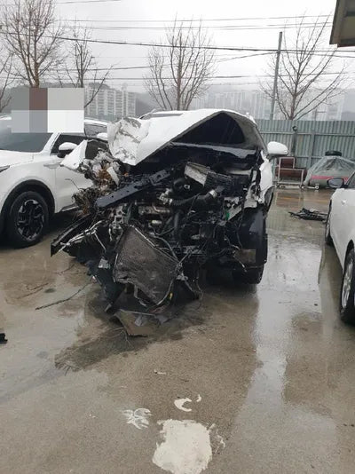 2019 Hyundai Santa FE VIN: