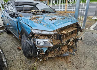 2019 Hyundai Kona KMHK7815GKU291067 VIN:KMHK7815GKU291067