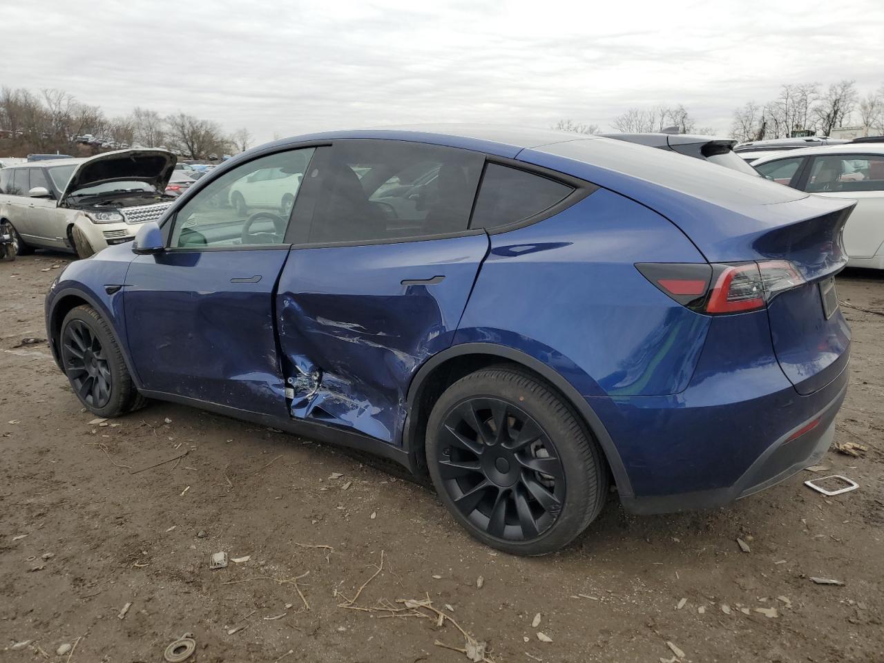 2023 TESLA MODEL Y  VIN:7SAYGDEE1PA205753