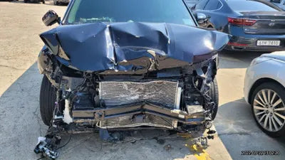 2020 Kia Carnival KNANE813BMS036399 VIN:KNANE813BMS036399