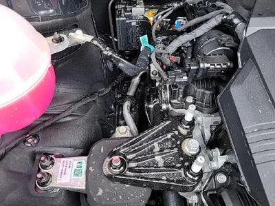 2023 Kia Carnival KNANC813BPS225973 VIN:KNANC813BPS225973