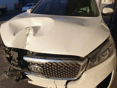 2016 Kia Sorento KNAPH81ABGA216735 VIN:KNAPH81ABGA216735